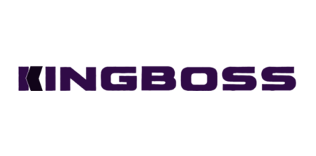 King Boss